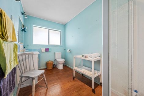 Photo of property in 20 Killarney Street, Alexandra, 9320