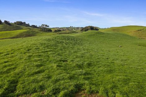 Photo of property in 1234 Richmond Road, Everett Park, Inglewood, 4389