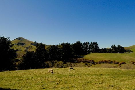 Photo of property in 44 Ronaldsay Street, Palmerston, 9430