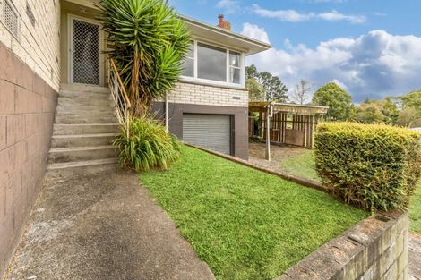 Photo of property in 163 Arapuni Street, Putaruru, 3411