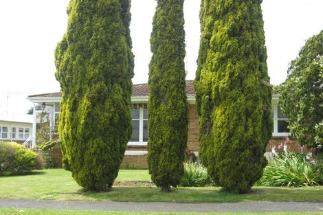 Photo of property in 195 Elizabeth Avenue, Te Awamutu, 3800