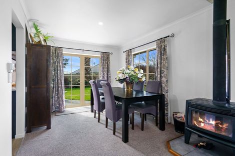 Photo of property in 14 Alba Place, Cambridge, 3434