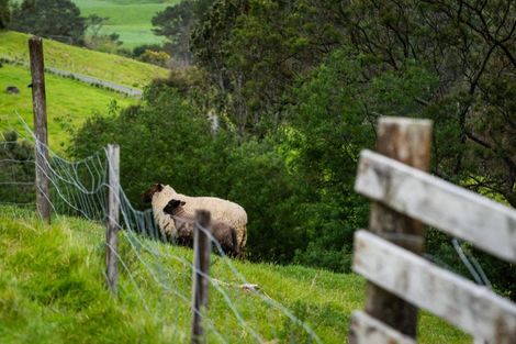Photo of property in 221 Lindemann Road, Tahawai, Katikati, 3170