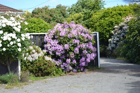 Photo of property in 1 James Street, Waimate, 7980
