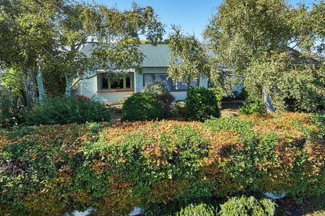 Photo of property in 34 Manson Street, Terrace End, Palmerston North, 4410