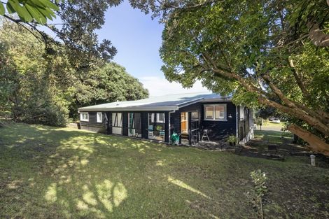 Photo of property in 49 North Piha Road, Piha, New Lynn, 0772