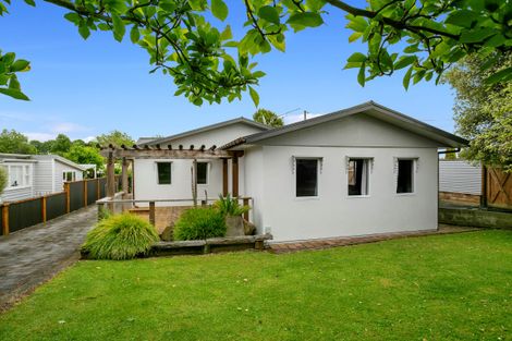 Photo of property in 94 Kensington Street, Putaruru, 3411