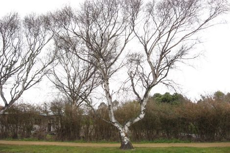 Photo of property in 11 Scarp Street, Karitane, Waikouaiti, 9471