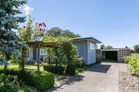 Photo of property in 81 Tollemache Road East, Longlands, Hastings, 4122