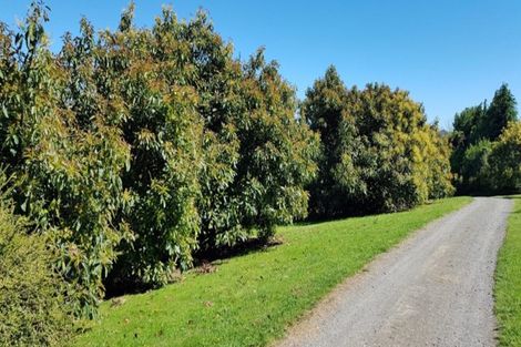 Photo of property in 1 Te Karaka Drive, Minden, Whakamarama, 3172