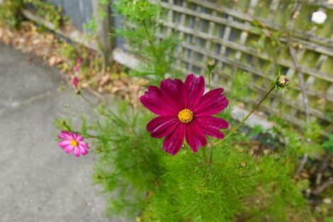 Photo of property in 535 Wellington Road, Marton, 4710