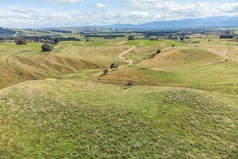 Photo of property in 19 Ranginui Drive, Kaiapoi, 7630