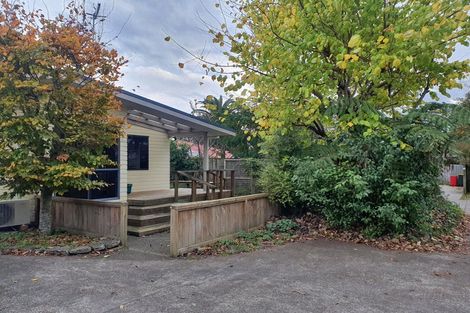 Photo of property in 18a Mckenzie Street, Levin, 5510