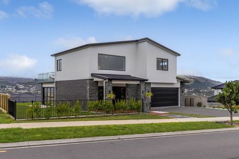 Photo of property in 202 John Burke Drive, Aotea, Porirua, 5024