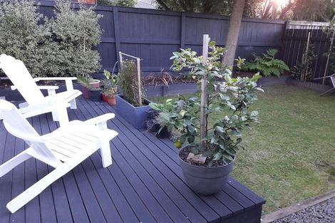 Photo of property in 97 Sutherland Road, Brookfield, Tauranga, 3110