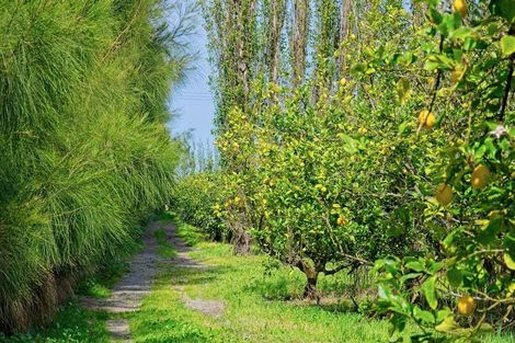 Photo of property in 19 Pilmer Road, Makauri, Gisborne, 4071