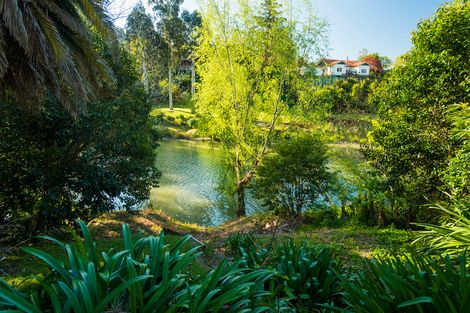 Photo of property in 15 Magnolia Street, Outer Kaiti, Gisborne, 4010