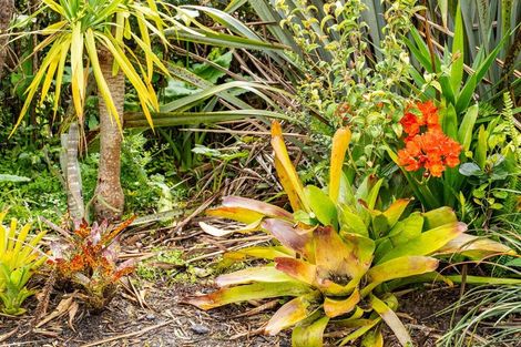 Photo of property in 26 Bassett Street, Dargaville, 0310