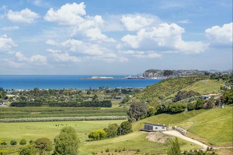 Photo of property in 53 Lopdell Lane, Eskdale, Napier, 4182