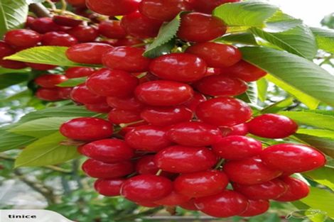 Photo of property in 11 Ettrick Road, Ettrick, Roxburgh, 9572