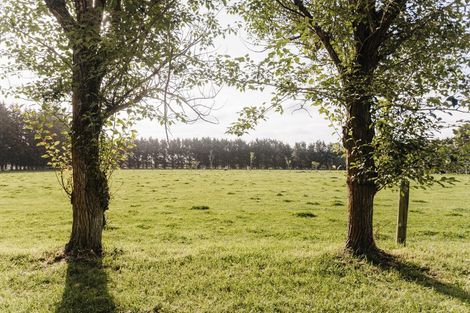 Photo of property in 239 Whites Road, Ohoka, Kaiapoi, 7692