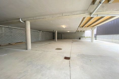 Photo of property in Aniva Terrace, 18 Ferguson Street, Newtown, Wellington, 6021