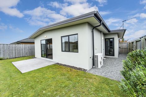 Photo of property in 27 Pakohe Street, Pegasus, 7612