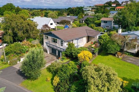 Photo of property in 31 Tanner Street, Havelock North, 4130
