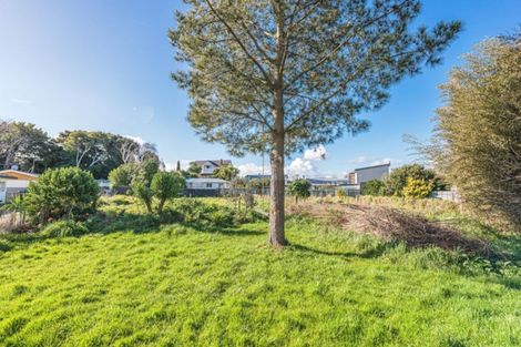 Photo of property in 20 Bignell Street, Gonville, Whanganui, 4501
