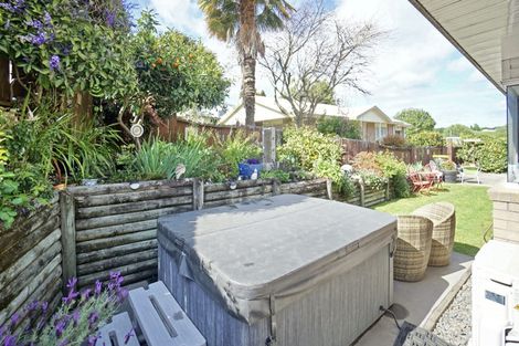 Photo of property in 14 Muir Place, Te Puke, 3119