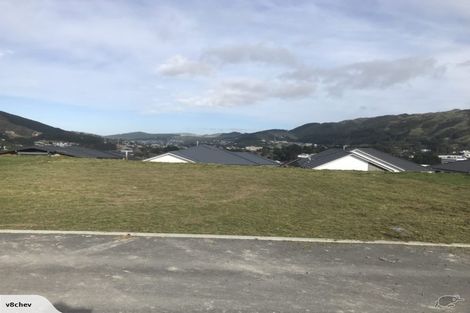 Photo of property in 167 John Burke Drive, Aotea, Porirua, 5024