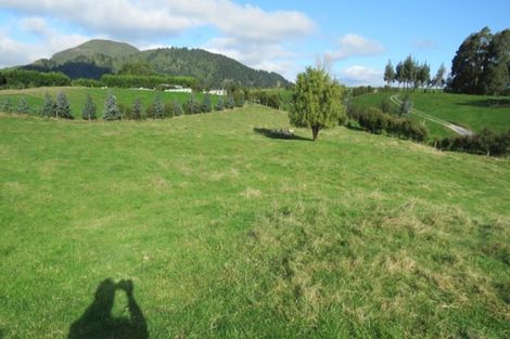 Photo of property in 338 Centennial Drive, Rotokawa, Taupo, 3378