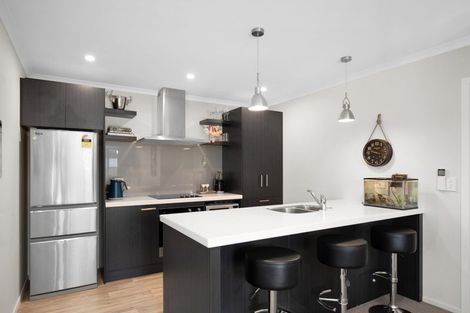 Photo of property in 17 Brooke Place, Alexandra, 9320