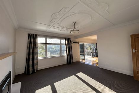 Photo of property in 113 Signal Hill Road, Opoho, Dunedin, 9010