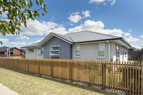 Photo of property in 36 Flack Street, Pyes Pa, Tauranga, 3112
