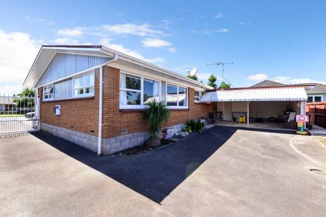 Photo of property in 51 Sandwich Road, St Andrews, Hamilton, 3200