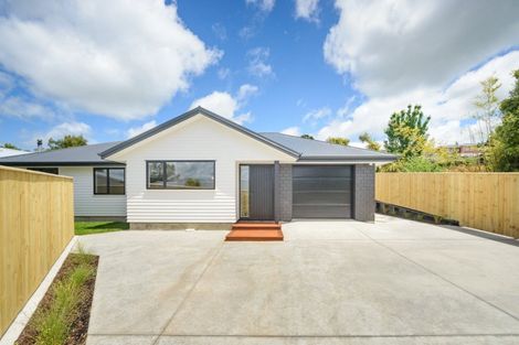 Photo of property in 154a Lethbridge Street, Feilding, 4702
