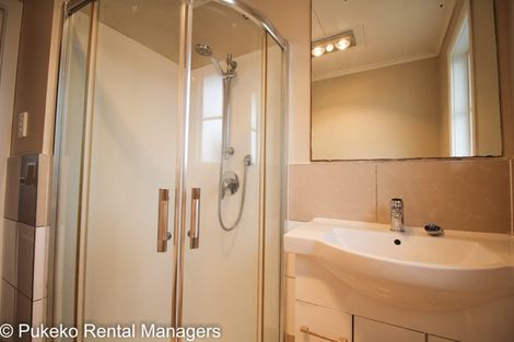 Photo of property in 81 Palmers Road, Clendon Park, Auckland, 2103