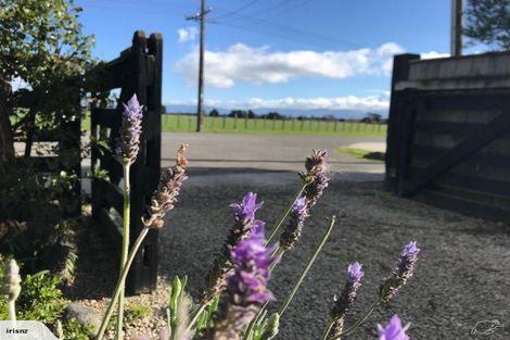 Photo of property in 53a Ferry Road, Martinborough, 5711