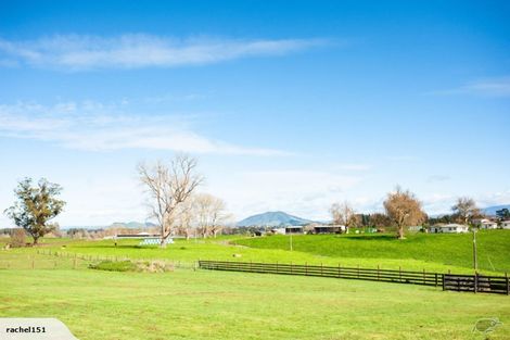 Photo of property in 300 Puahue Road, Te Awamutu, Cambridge, 3879