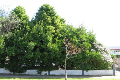 Photo of property in 60 Rotokawa Street, Taupo, 3330