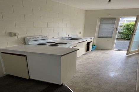 Photo of property in 45 York Street, Hamilton East, Hamilton, 3216