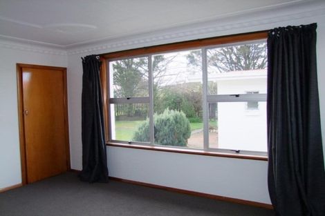 Photo of property in 217 Union Street, Milton, 9220