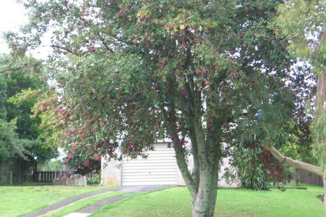 Photo of property in 36 Brunner Road, Glen Eden, Auckland, 0602