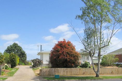 Photo of property in 133 Studholme Street, Morrinsville, 3300
