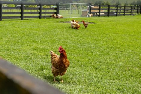 Photo of property in 7 Hurunui Lane, Kinloch, Taupo, 3377