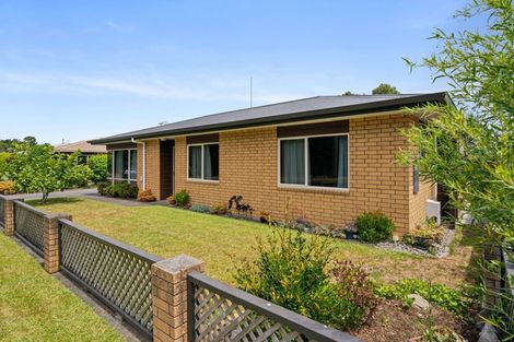 Photo of property in 13b Marshall Avenue, Greerton, Tauranga, 3112