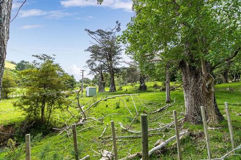 Photo of property in 863 Weranui Road, Wainui, 0994