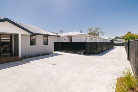 Photo of property in 462 Ruahine Street, Terrace End, Palmerston North, 4410