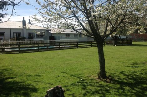 Photo of property in 97 Boundary Road, Upper Plain, Masterton, 5888